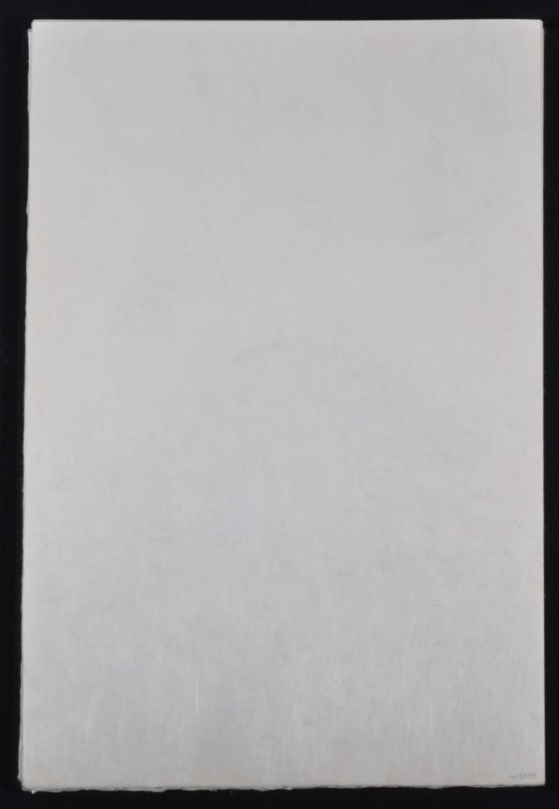 (Suite) The mock turtle's story