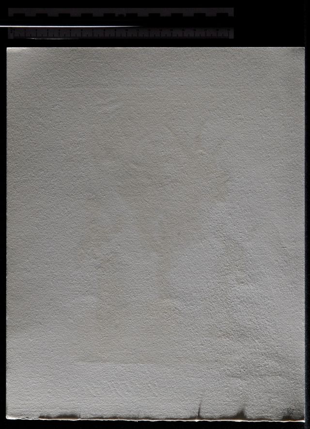 L'arbre du châtiment