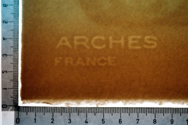 Visión del paraíso