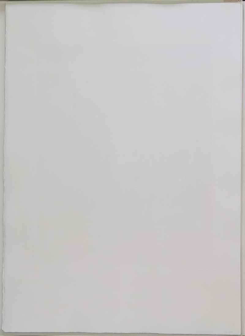 Caring for a Surrealistic watch