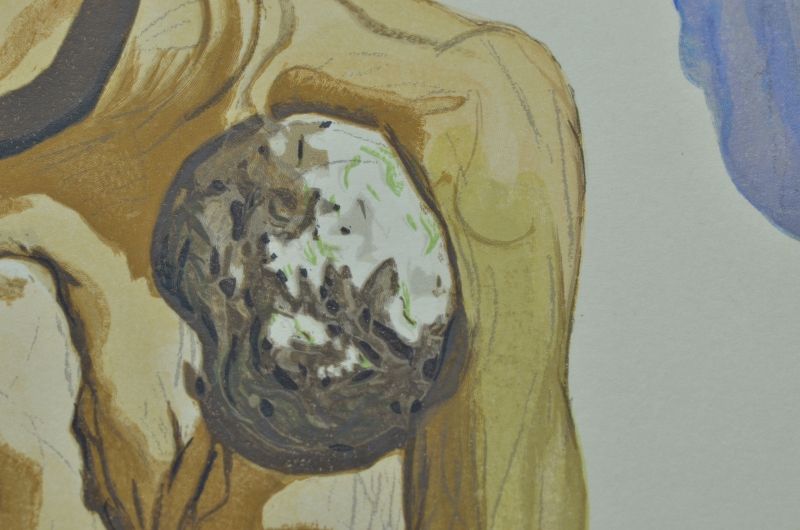 Les princes de la Vallée fleurie