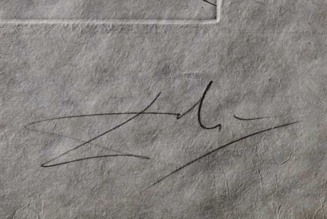 Rosa Papilio  (Rose)