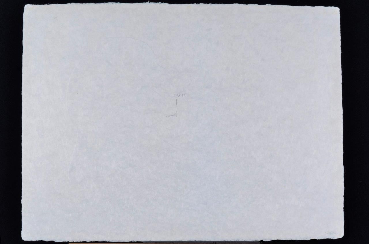 L'homme rescuscité par l'holographie de l'écureuil