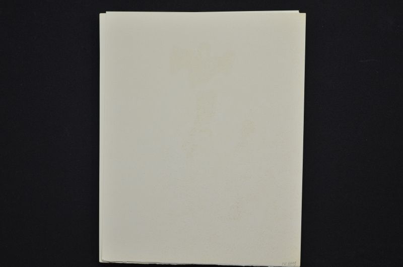 S/T (Le Premier ciel)