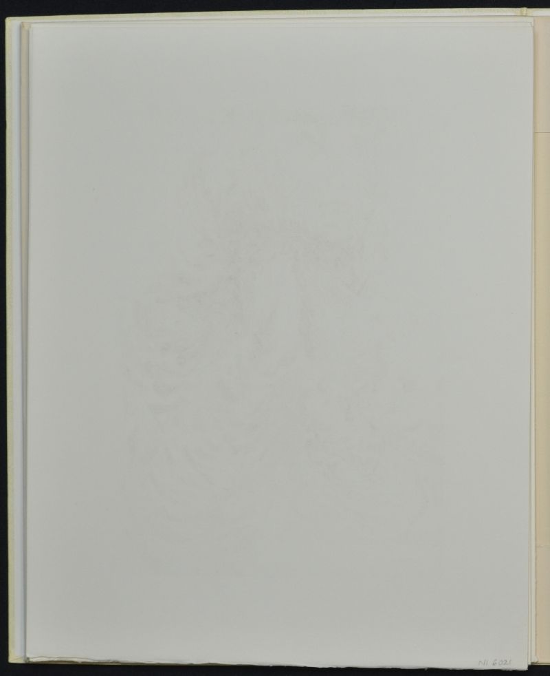 La prescience Divine