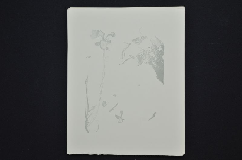 S/T (Saint Jacques et l'Espérance)