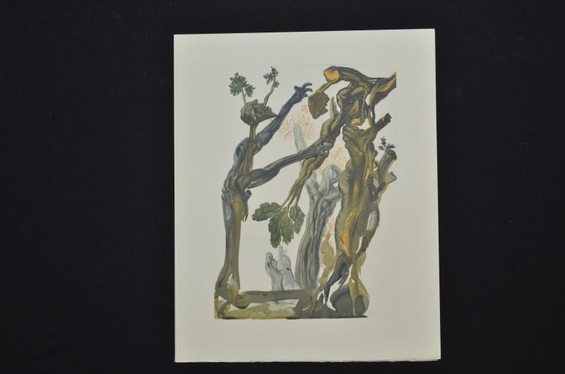 La Fôret des suicidés