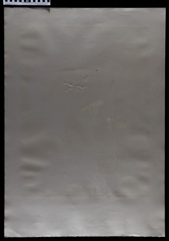 Vision planétaire et scatologique