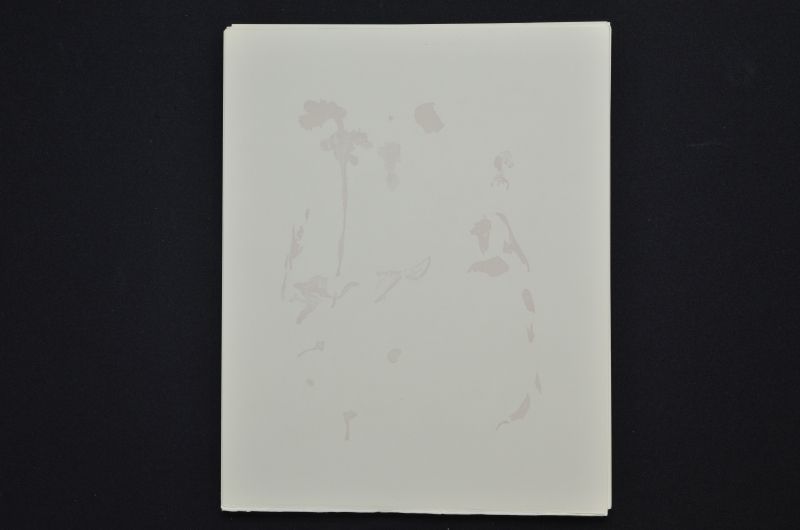 S/T (Saint Jacques et l'Espérance)