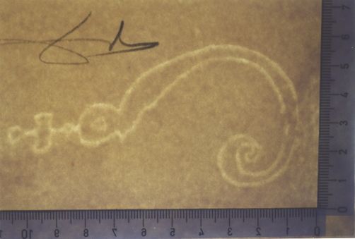 Sainte Trinité Sainte Persistence de la Memoire