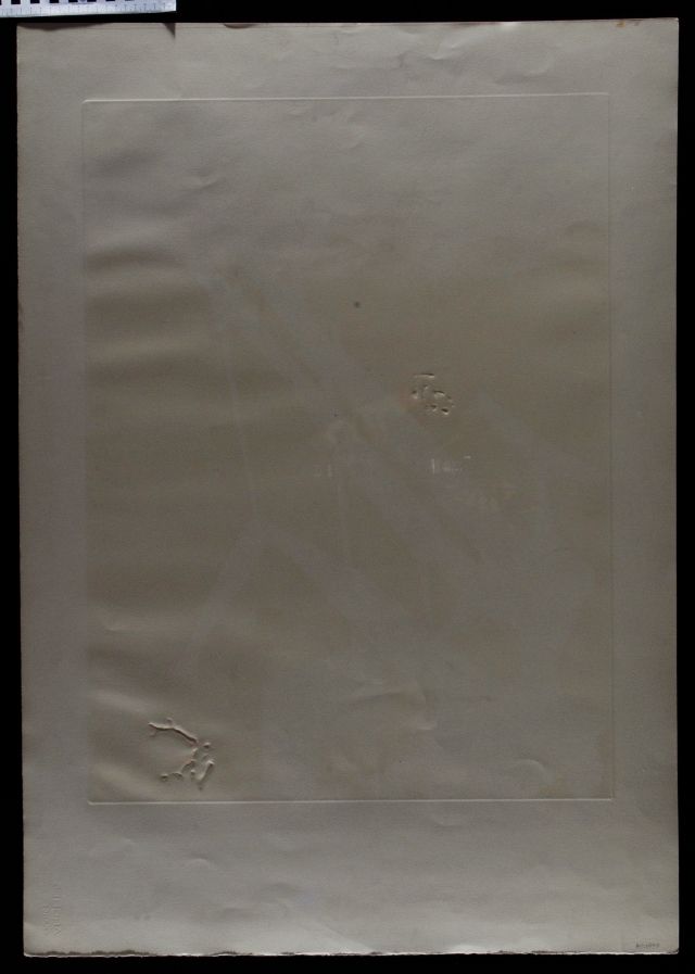 Dali martian muni d'un double microscope holoelectronique