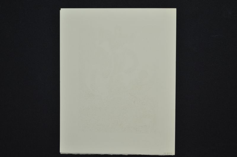 S/T (Le Premier ciel)