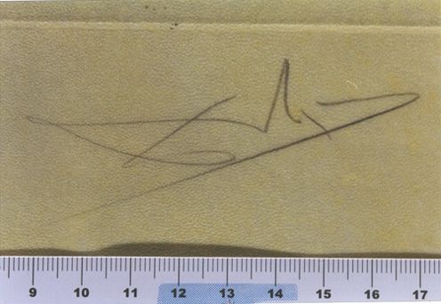 Des rois pendus aux arbres qui bordent un fleuve lent ...