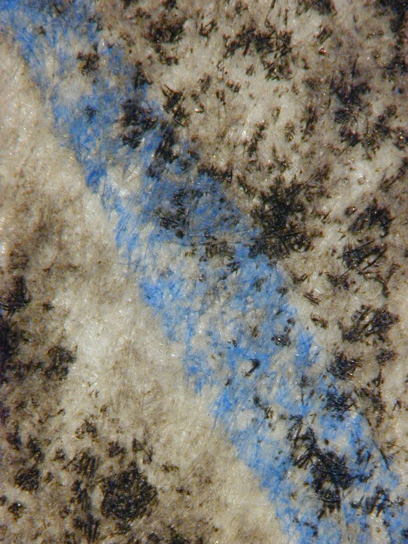 Don Quichotte en lecteur