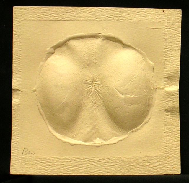 Prova de taller per a la sèrie 