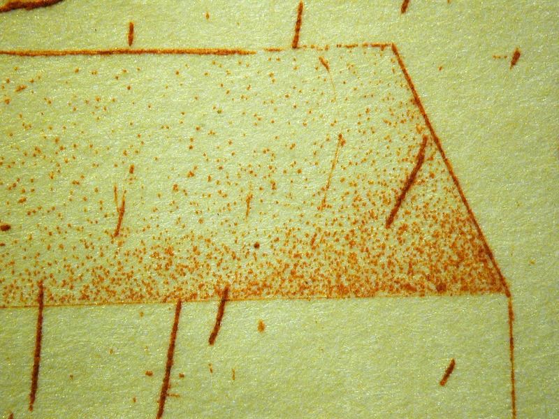 Menu du banquet de la Société du Roman Philosophique