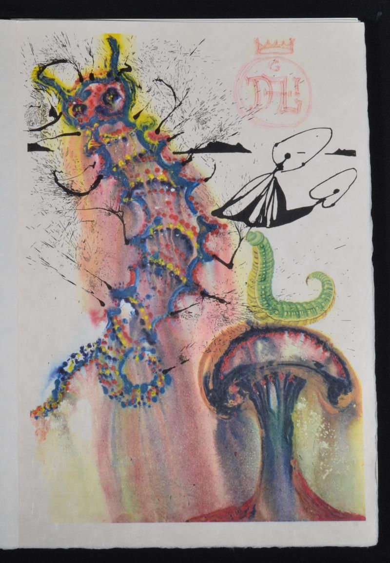 (Suite) Advice from a caterpillar