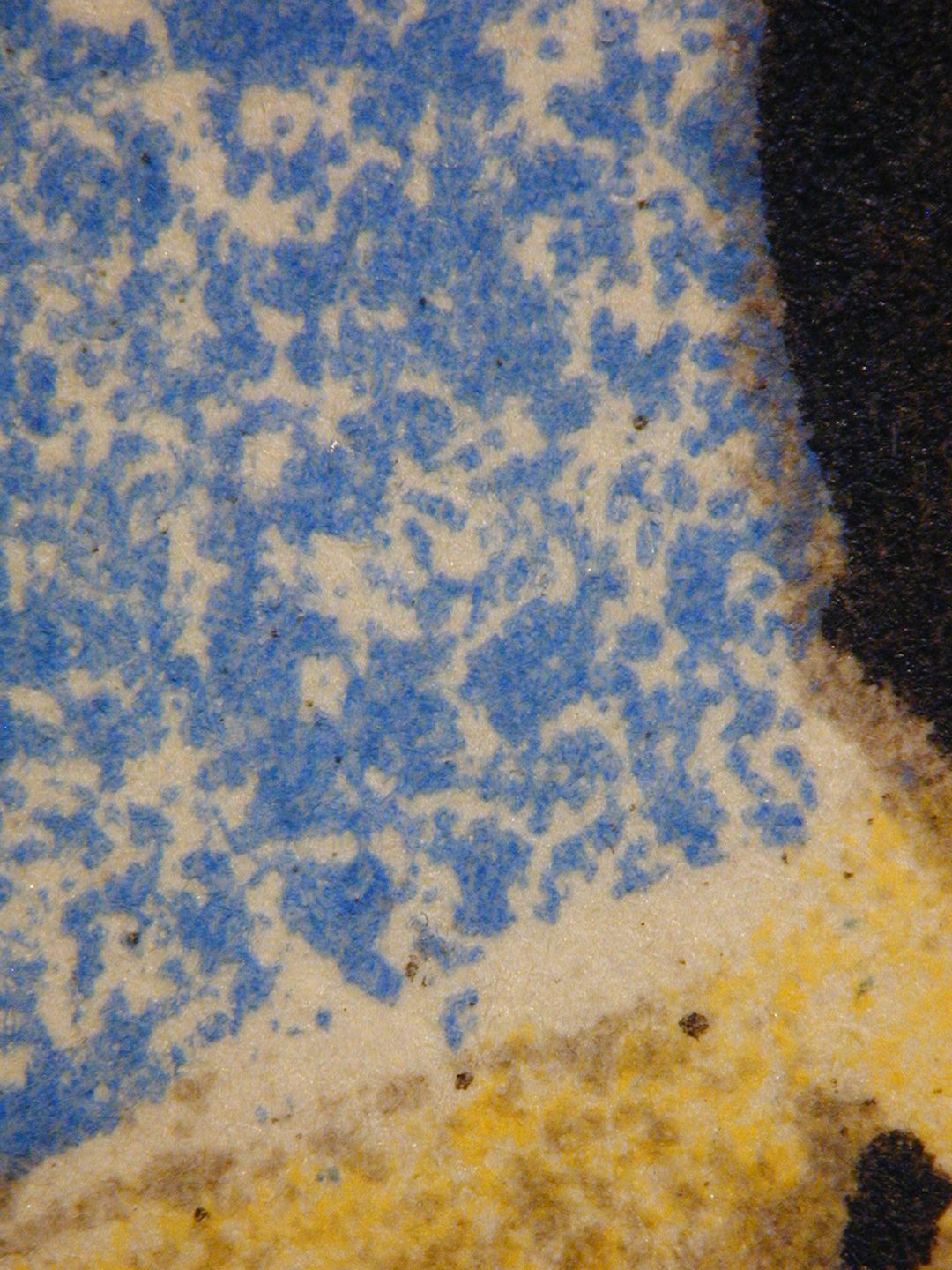 Don Quichotte en lecteur