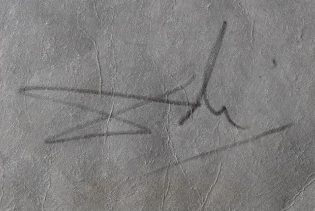 Chrysanthemum frutescens ( Marguerite )