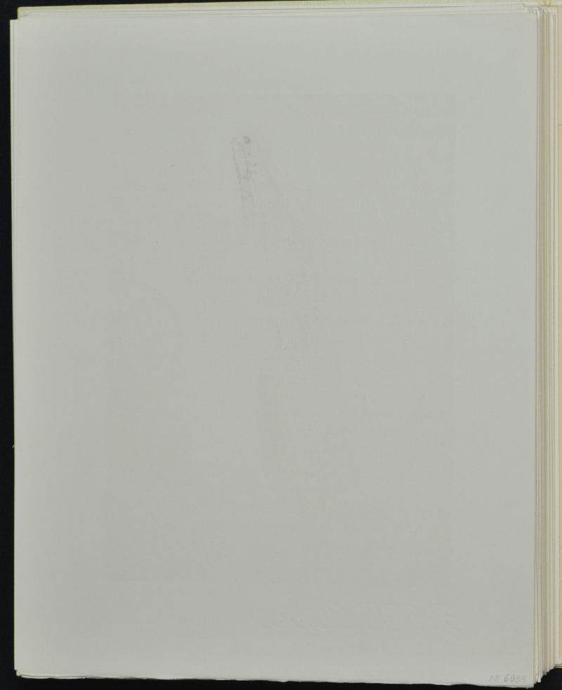 La création des Anges