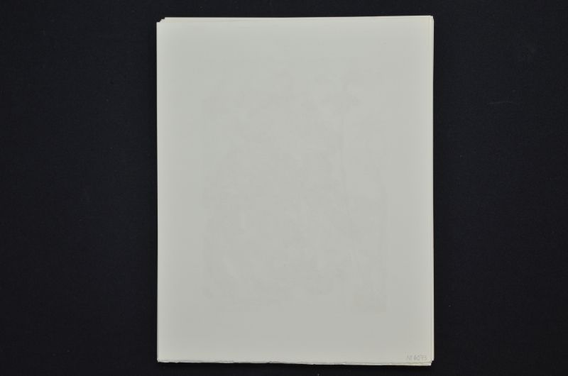 S/T (Saint Jacques et l'Espérance)