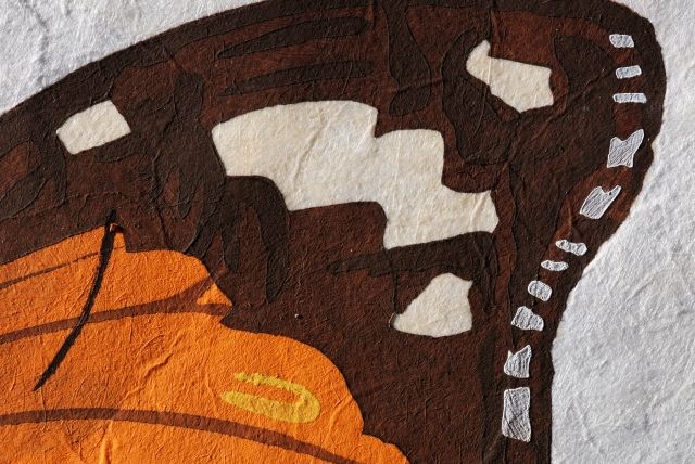 Rosa Papilio  (Rose)