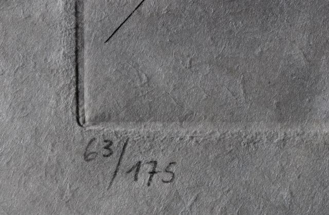 Chrysanthemum frutescens ( Marguerite )