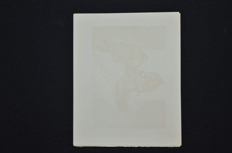 Les hommes qui s'entre- dévorent