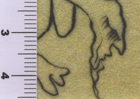 Le désert avec sa piste d'orfèvreries abandonnées et d'ossements ...