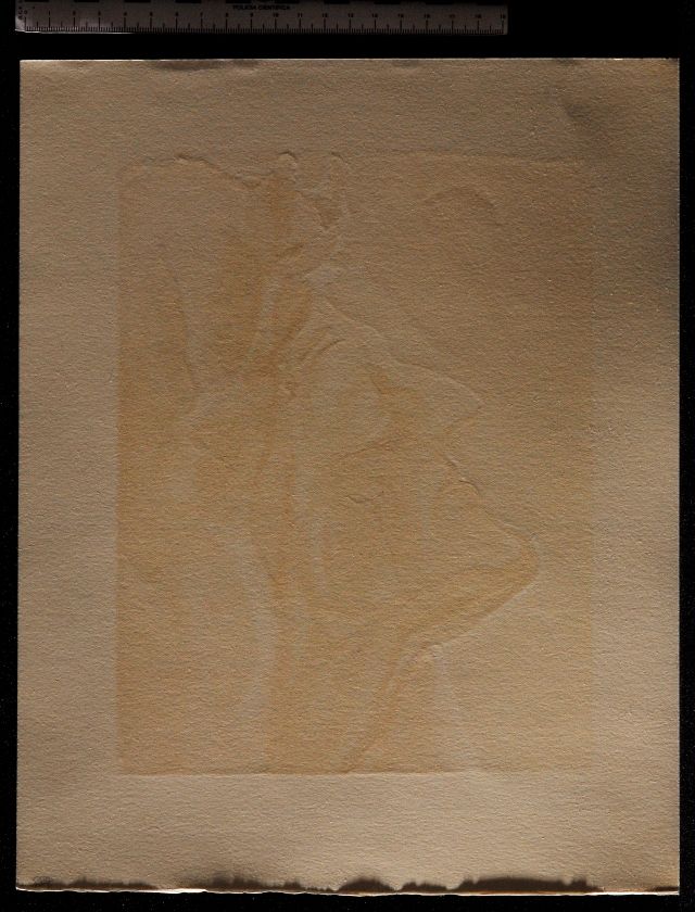 Le nouveau doute de Dante