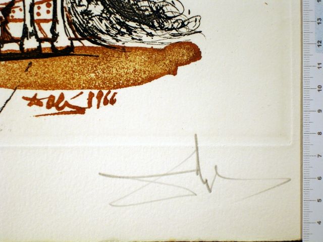 Caballero con casco y mariposas