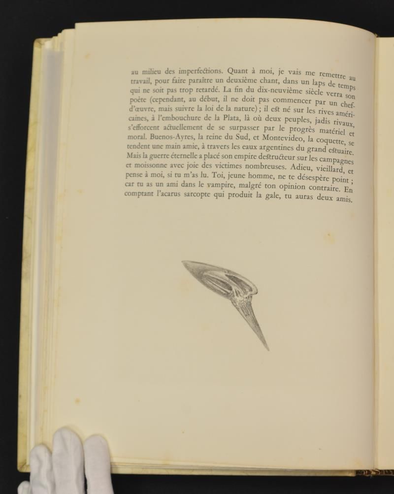 S/T Vinyeta final Primer Cant