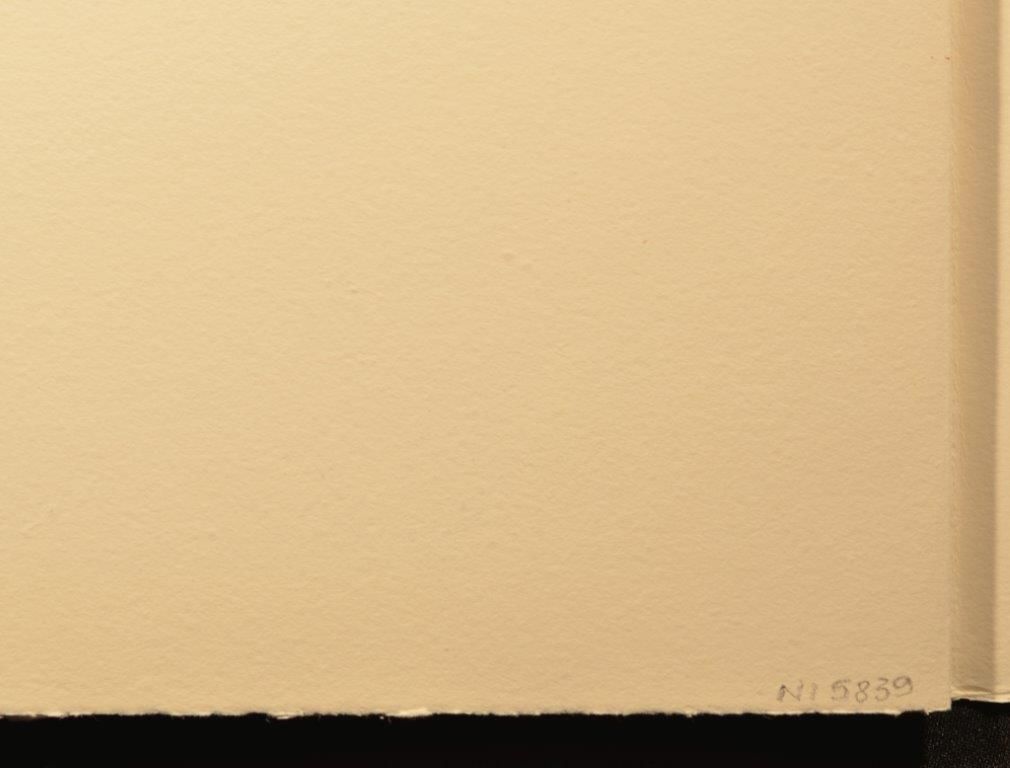 Advice from a caterpillar