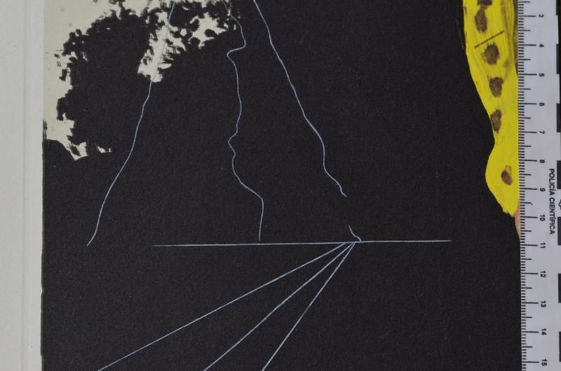 Crazy, crazy, crazy, Minerva