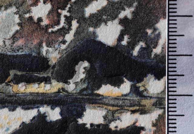 Le chevalier moyenâgeux