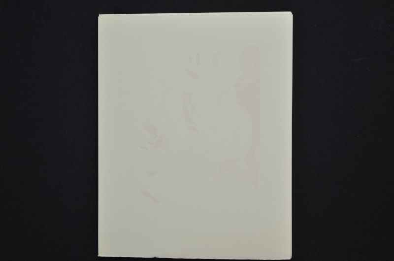 S/T (Le Premier ciel)