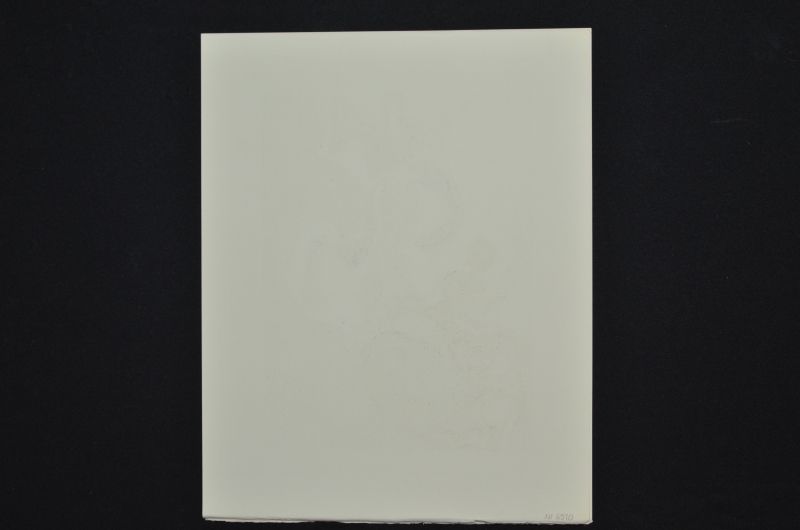 S/T (Le Premier ciel)