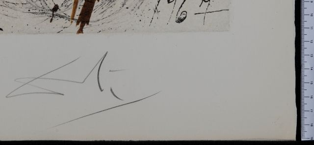 The pioneers of Israel