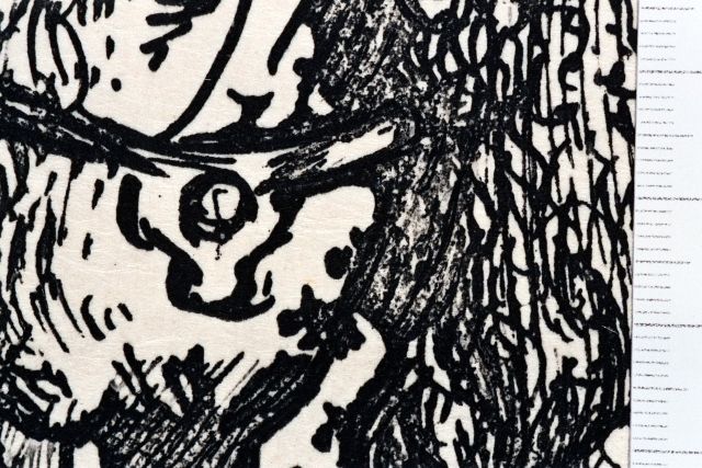 Caballero con casco y mariposas