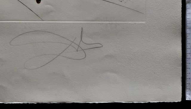 Le cercle viscéral du cosmos