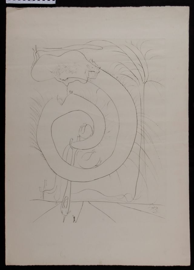 Le cercle viscéral du cosmos