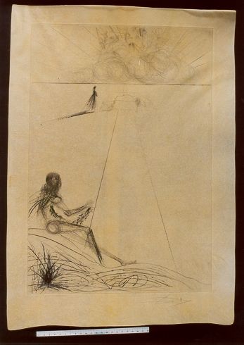 L'arrivée de la mousson, le bûcher de bucéphale