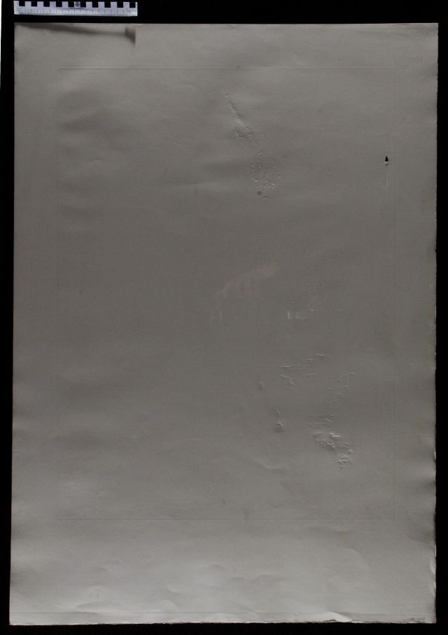 L'unicorne laser désintégre les cornes de rhinoceros cosmique