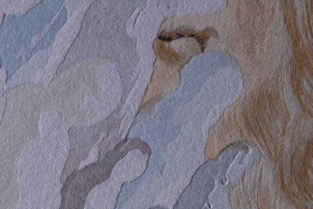 La Beauté des sculptures