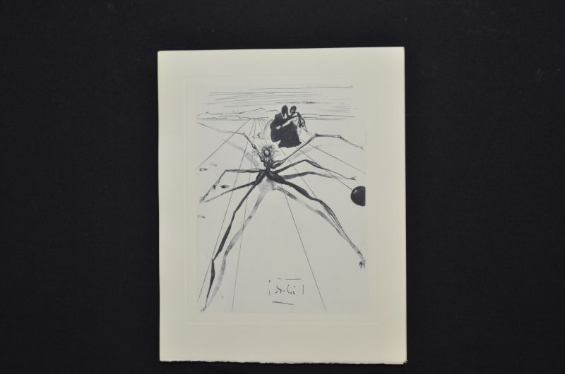 Quittant la corniche de la colère