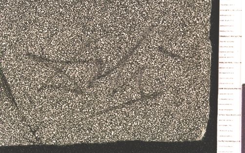 Zootrope et tour  boullée