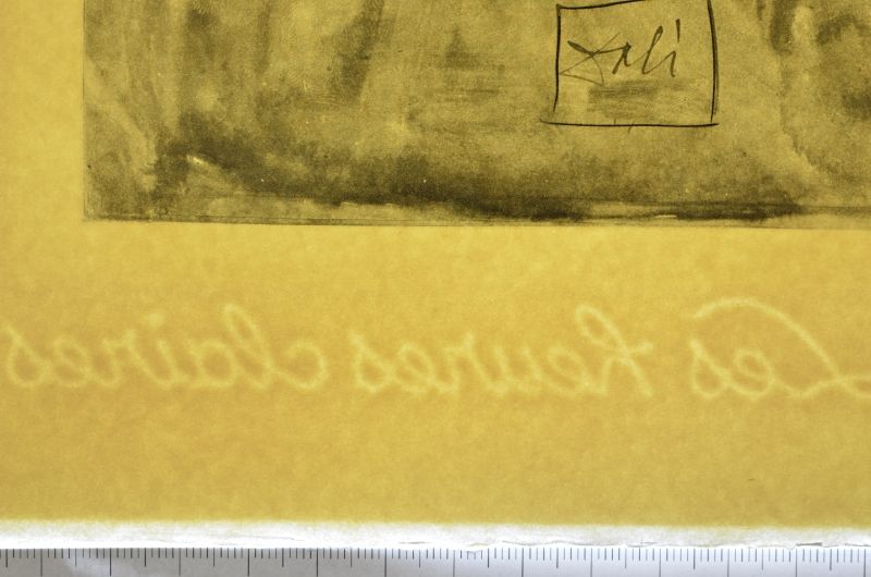 La confession de Dante