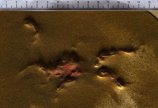 Vision planétaire et scatologique