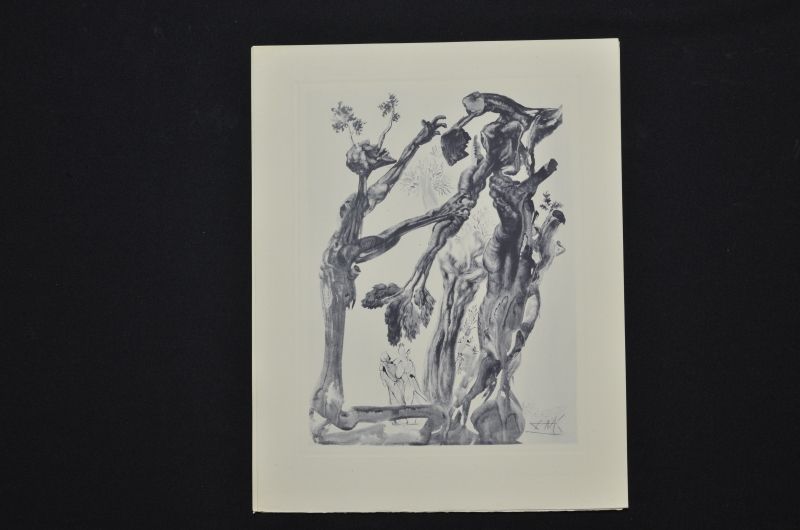 La Fôret des suicidés