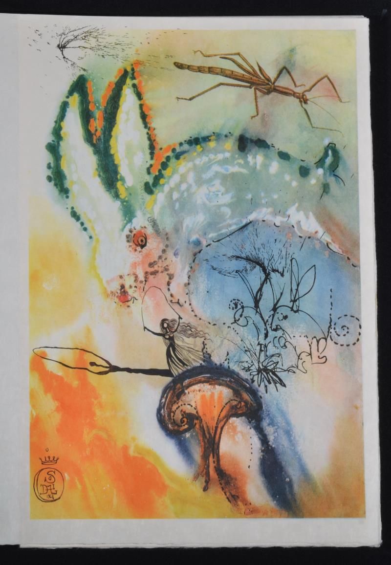 (Suite) Down the rabbit hole